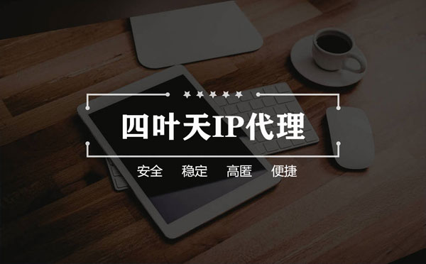 【保定代理IP】如何快速搭建代理IP？怎么检查代理的效果？